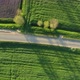 Road Among Green Fields and Meadows - VideoHive Item for Sale