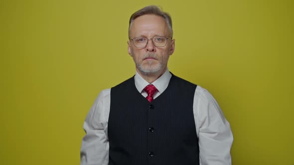 Portrait of a serious senior businessman. Mature man with grey beard in glasses 