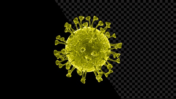 Visualization Of Coronavirus Covid-19 V4