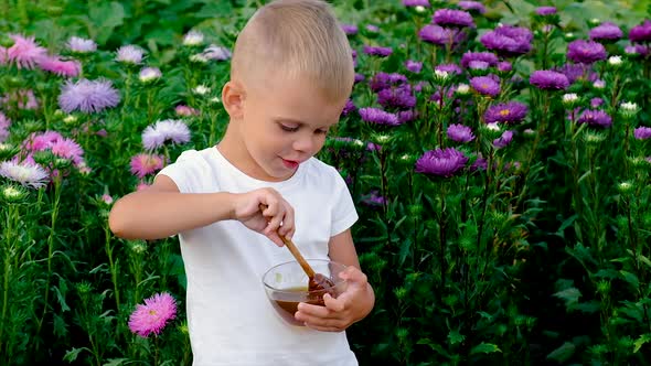 The Child Eats Honey in the Summer