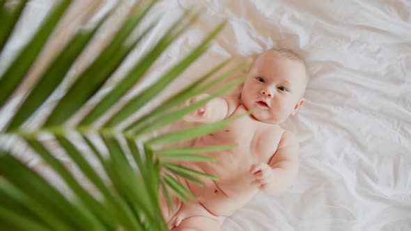 A Nice Little Caucasian Newborn Baby is Funny Smiling Lying Near Palm Tree