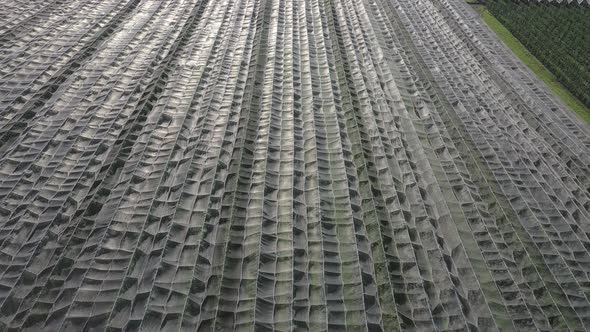 Aerial view of plastic greenhouse on apple orchard. Plant cultivation in organic farming