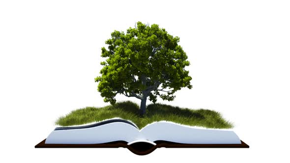 Open Book With Green Grass Field And Tree alt