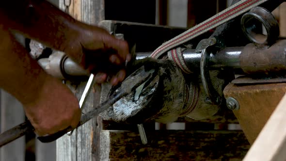 Man Cleaning Horse Foot Close Up