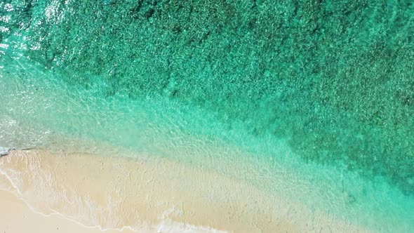 Aerial seascape of paradise coast beach wildlife by clear lagoon and white sand background of a picn