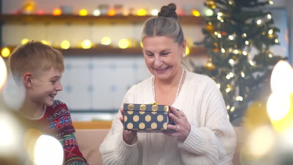 Cheerful Grandma and Cute Grandson Exchanging Christmas Gifts