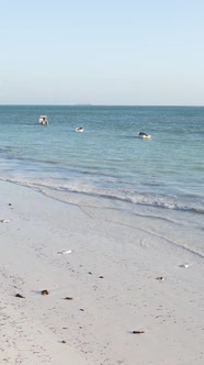 Tanzania  Vertical Video of the Ocean Near the Coast of Zanzibar Slow Motion