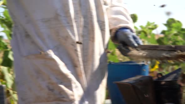 Beekeeper working collect honey