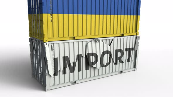 Container with Flag of Ukraine Breaking Container with IMPORT Text alt