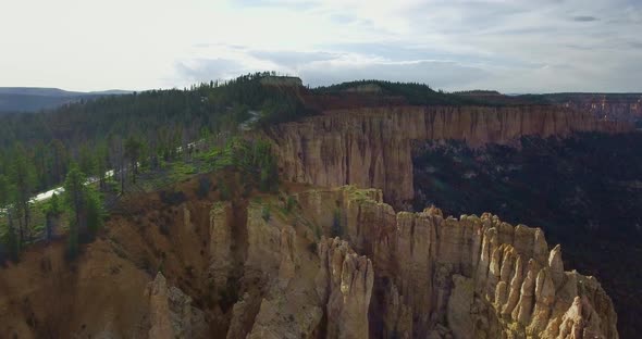 Drone circles over a yellow cliff of a canyon with pine trees (Zion National Park, Utah, USA)