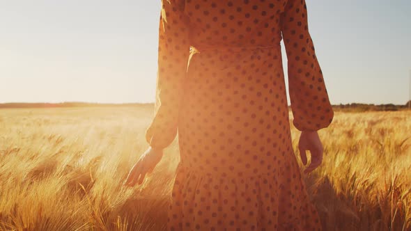 Pregnant woman in the rays of the sunset in the field