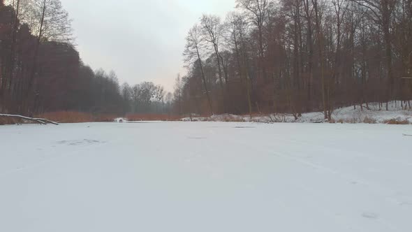 Forest Winter Frozen Lake