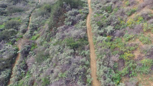 Aerial shot of a young man trail running on a scenic hiking trail