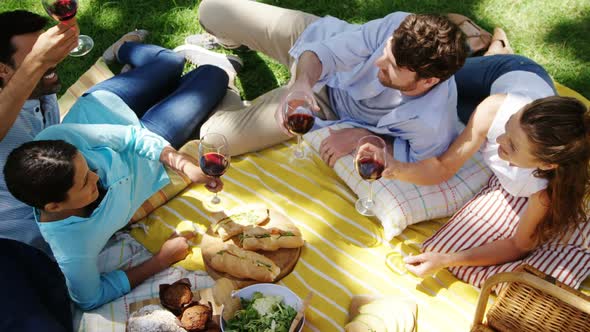 Couples interacting with each other while having red wine in the park