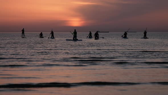 SUP Surfers On Sea at Sunset