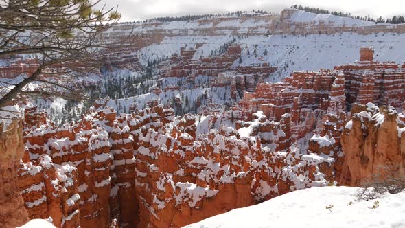 Bryce Canyon in Winter Snow in Utah USA