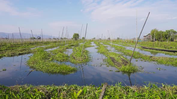 Floating Gardens on Inle Lake Myanmar Burma