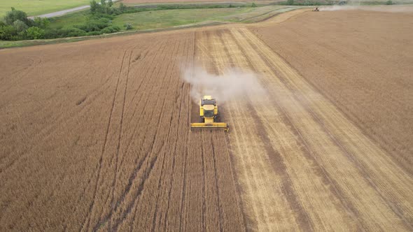Aerial View of Harvester Machines Working in Wheat Field