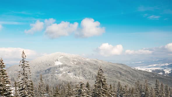 Beautiful Mountain Day, Cloudy Winter Fir-tree