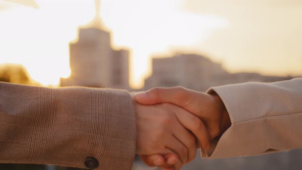 Closeup Part of Women Body Shake Hands Conclude Successful Contract Agreement Sign Human Support for