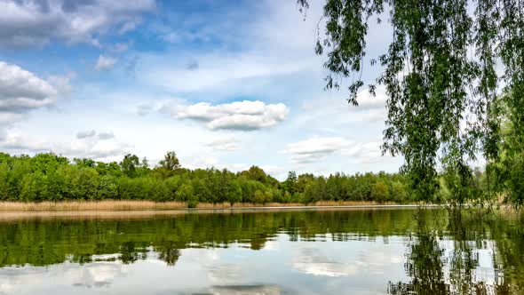 Calm lake in green city park.