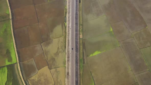 Aerial view of a road among the fields in Sapahar, Rajshahi, Bangladesh.