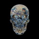 Glass Skull Rotate 360 - VideoHive Item for Sale