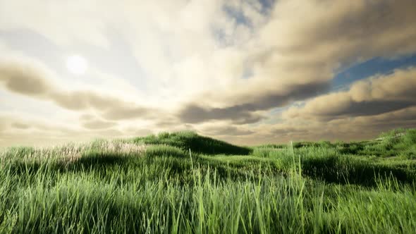 Storm Clouds Above Meadow with Green Grass alt