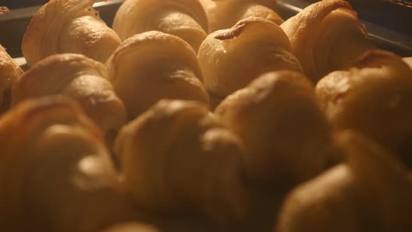 Dough rolls baking in the oven 4K 2160p UltraHD footage - Homemade rolls slow baking and releasing f