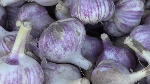 Garlic is essential in Middle Eastern and Arabic cooking, with its presence in many food items.