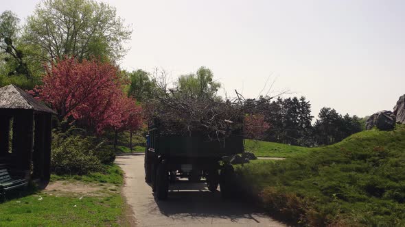 Tractor with Trailer Carrying Tree Branches Through Park Alley