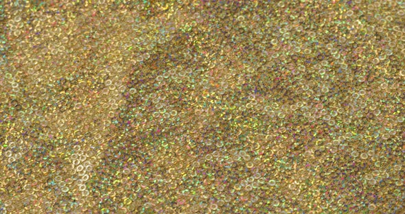 Glittering Shiny Fabric with Sequins Closeup