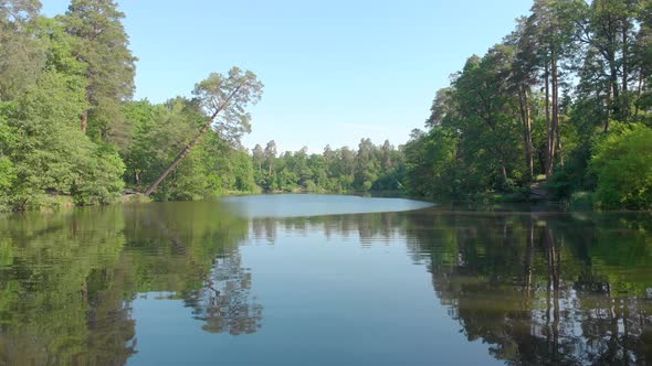 River In Forest Over Water