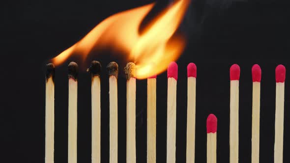 Burning Matches Against Black. Stop Epidemic. Domino Effect