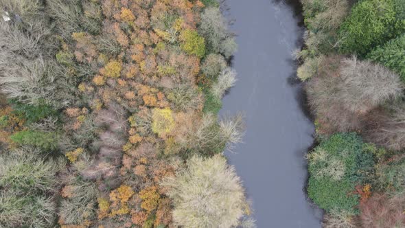 Autumn forest fall season river Liffey Dublin Ireland aerial