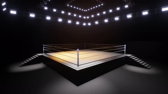 Sports Wrestling And Boxing. Sport 4K Professional Background Animation