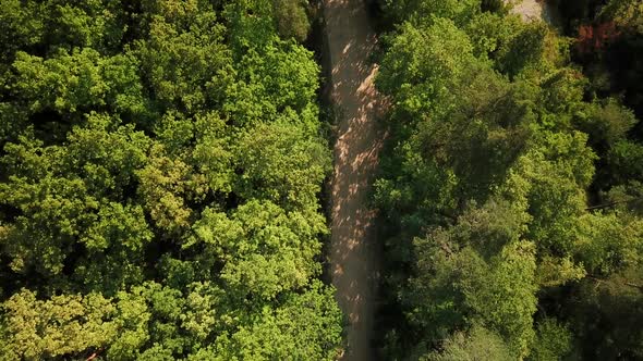 Stunning Aerial Top Down View of Mountain Trail Between Green Forest