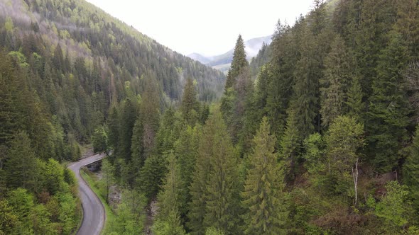 The Road in the Mountains. Slow Motion. Carpathians. Ukraine. Aerial. Gray, Flat