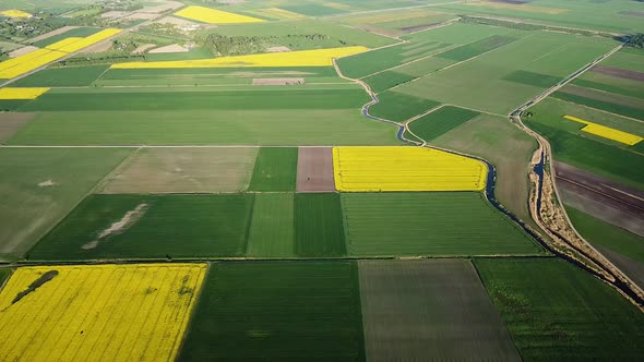 Aerial birdseye flight over blooming rapeseed (Brassica Napus) field, flying over yellow canola flow