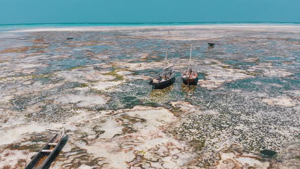 Lot of Fishing Boats Stuck in Sand Off Coast at Low Tide Zanzibar Aerial View