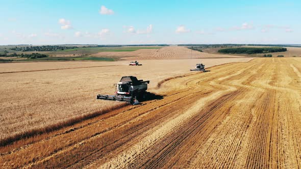 Agricultural Transport Is Collecting Rye Harvest