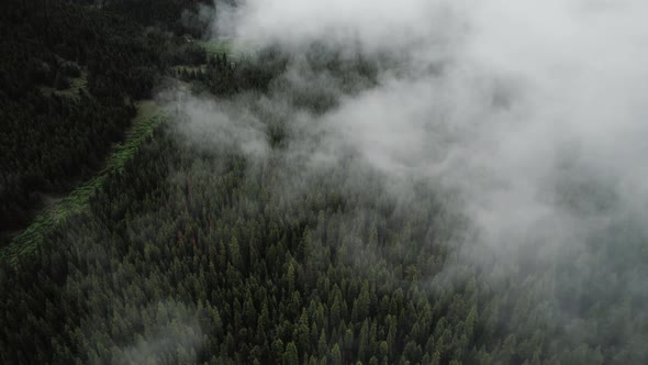 Clouds rolling over the mountains and a forest