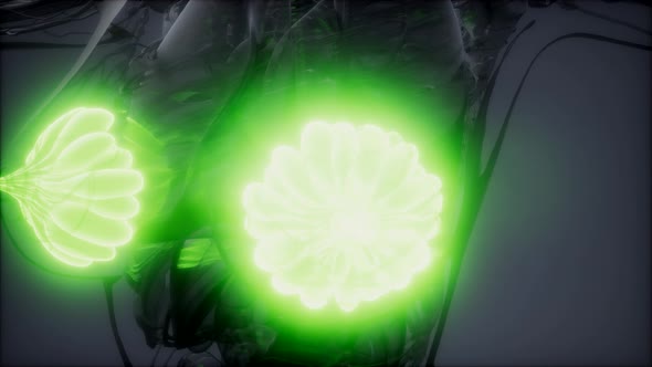 Medically Accurate Illustration of an Obese Womens Mammary Glands alt