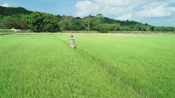 Aerial Drone Footage of Blond Girl in Dress Walking Along the Rice Fields in El Nido Philippines