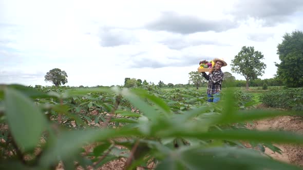 Asian farmers carry various kinds of non-toxic vegetable crates.