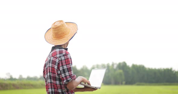 Young farmer man use laptop checking rice field with happy