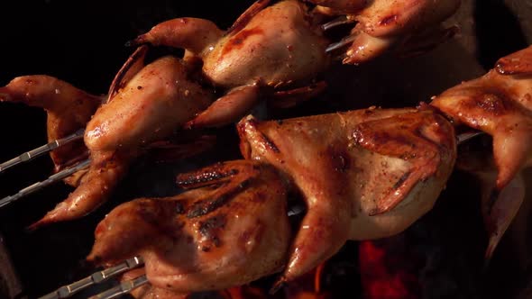 Closeup of Delicious Juicy Quails on the Skewer Rotated Above the Open Fire