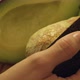 Opening Halved Avocado with Hands - VideoHive Item for Sale