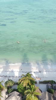 Tanzania  Vertical Video of the Ocean Near the Coast of Zanzibar Slow Motion