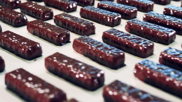 Moving Conveyor Belt with Freshlyfabricated Chocolate Sweets